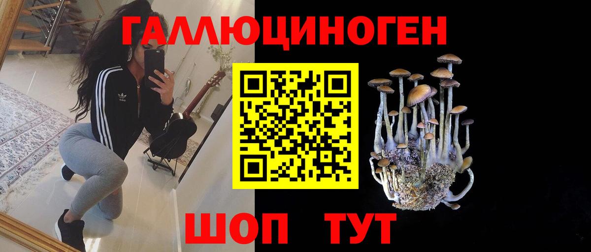 Псилоцибиновые грибы мухоморы Дубна